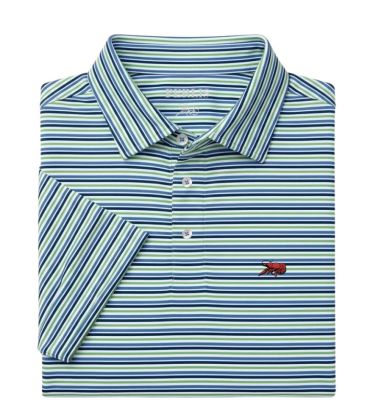 Crawfish Multi Stripe Performance Polo