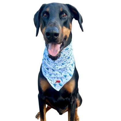 Crawfish Festival Print Dog Bandana