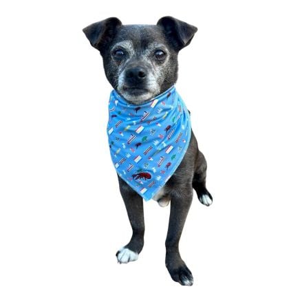 Crawfish Nola Life Dog Bandana