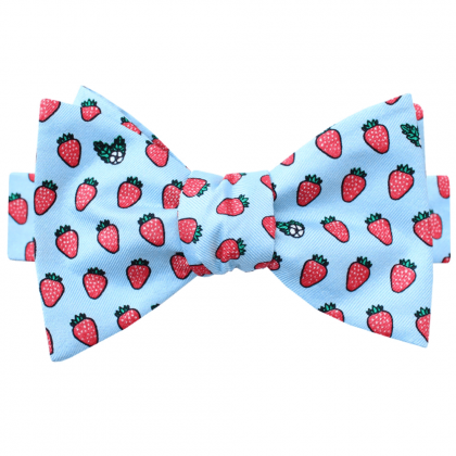 Boy's Haspel Strawberry Bow Tie